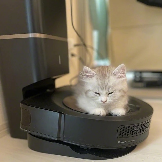 Знаеш ли, че котешкото мъркане подобрява костната плътност, а нежното бръмчене на прахосмукачката-робот Roomba връща хармонията у дома и почиства подовете идеално?Тя отстранява не само котешката козина, но и най-дребните замърсявания.#irobot#irobotroomba #catsofinstagram