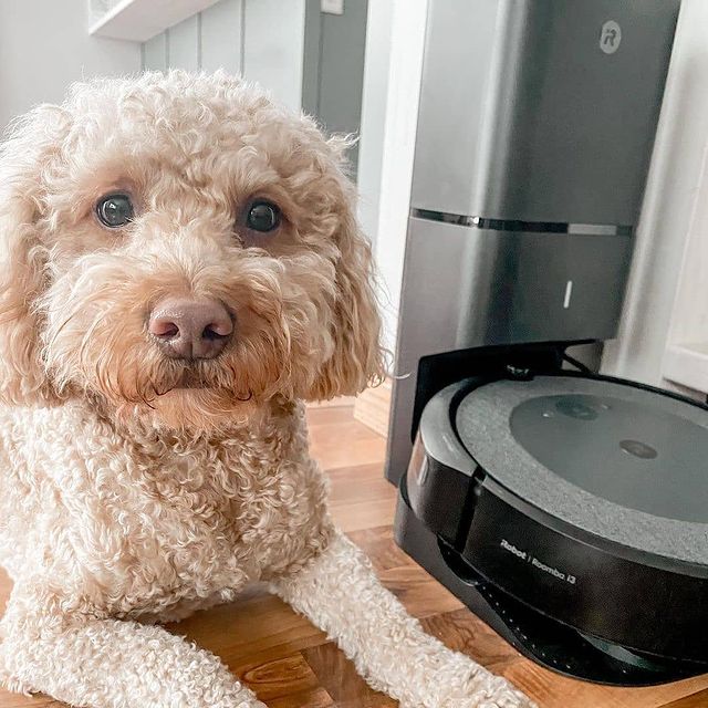 Начало - iRobot